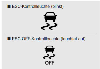 Elektronisches Stabilitätskontrolle 