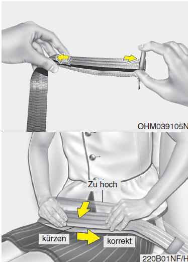 Das Sicherheitsgurtsystem