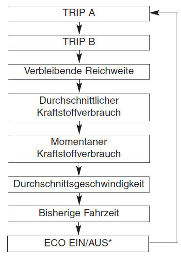 Tageskilometerzähler/Trip-Computer