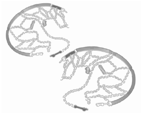 Räder und Reifen