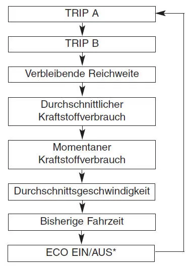 Tageskilometerzähler/Trip-Computer