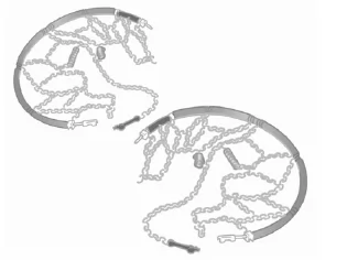 Räder und Reifen